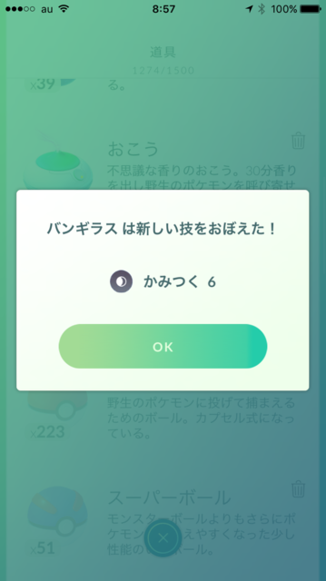 IMG_1572.PNG