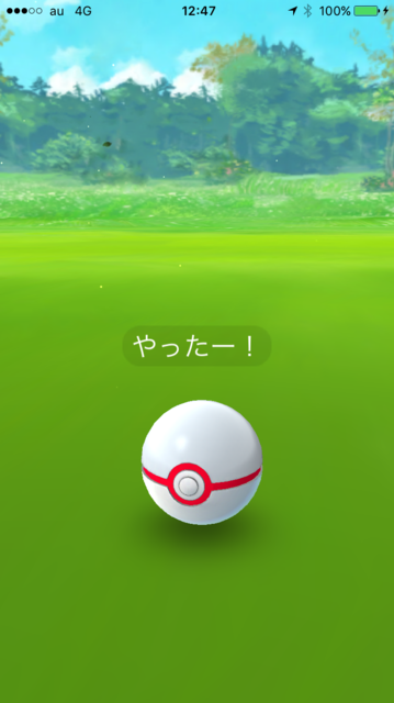 IMG_3330.PNG
