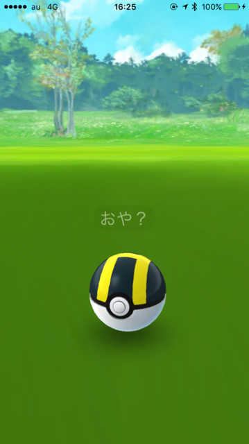 IMG_4401.PNG