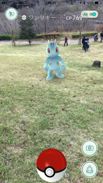 IMG_4772.PNG