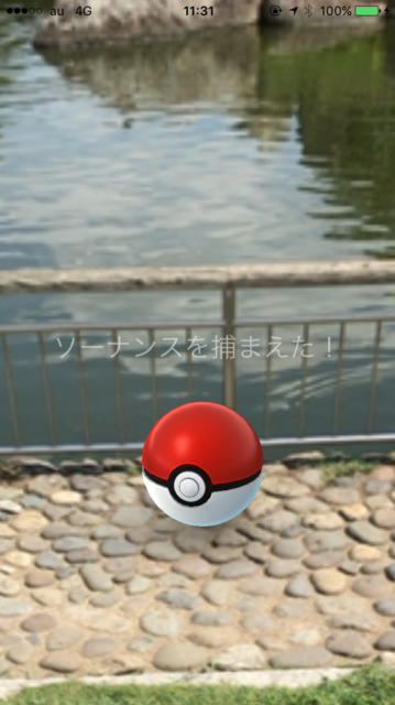 IMG_5137.PNG