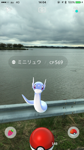 IMG_5981.PNG