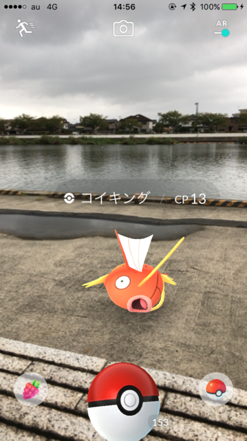 IMG_6013.PNG