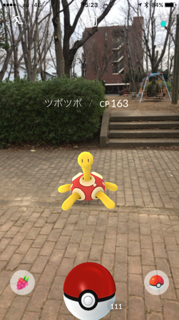 IMG_7359.PNG