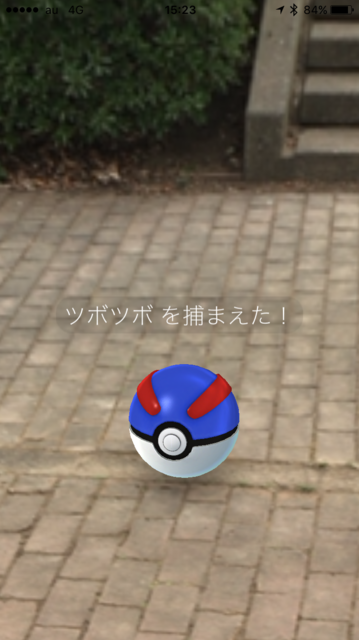IMG_7360.PNG