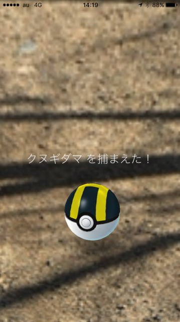 IMG_7389.PNG