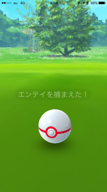 IMG_7411.PNG