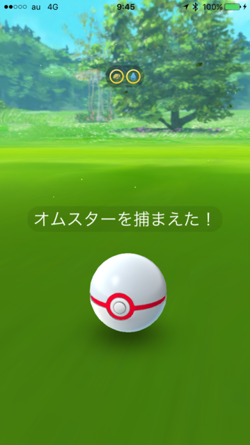 IMG_7547.PNG