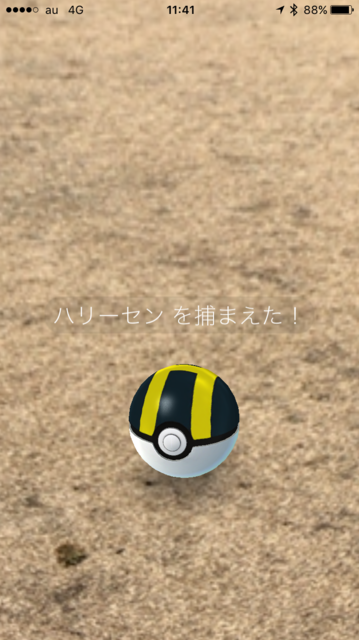 IMG_7565.PNG