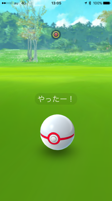 IMG_7669.PNG
