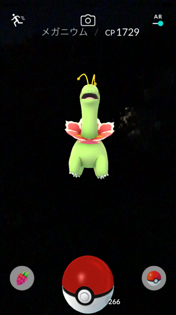 IMG_7705.PNG