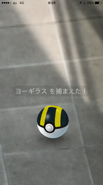 IMG_7743.PNG