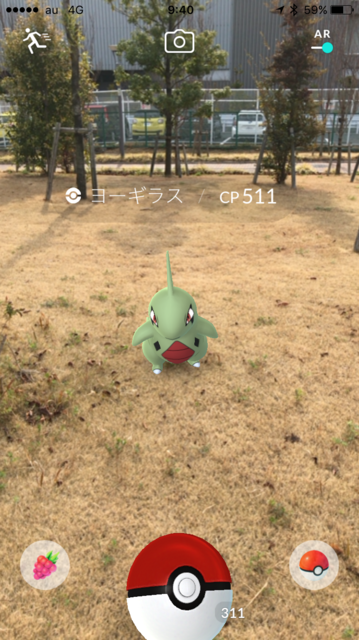 IMG_7756.PNG