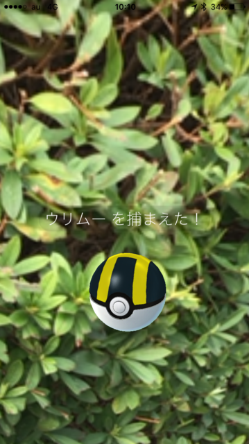 IMG_7773.PNG