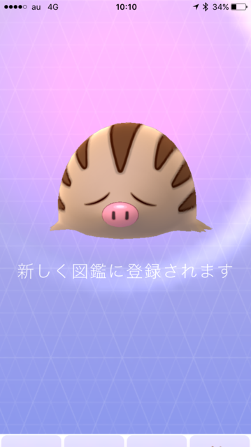 IMG_7774.PNG