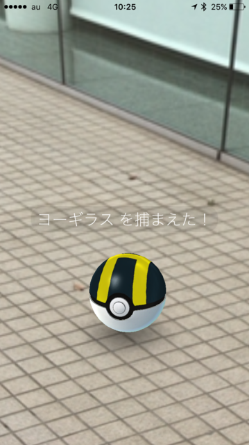 IMG_7781.PNG