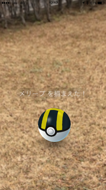 IMG_7811.PNG