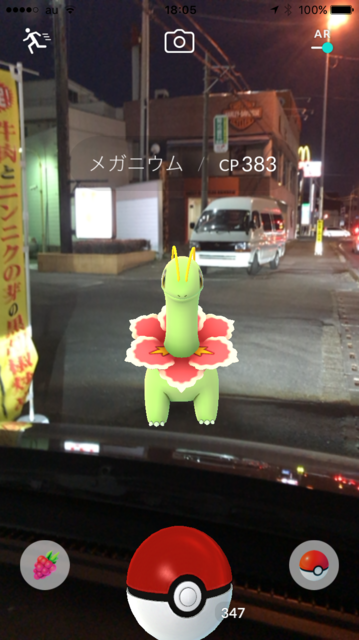 IMG_7845.PNG