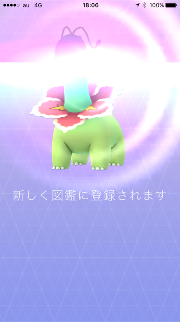 IMG_7847.PNG