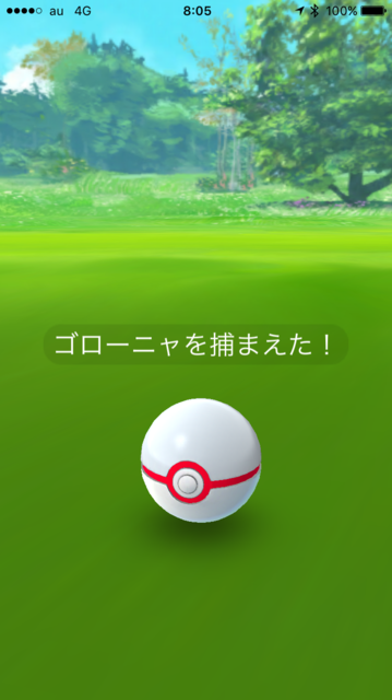 IMG_7871.PNG