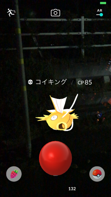 IMG_7875.PNG