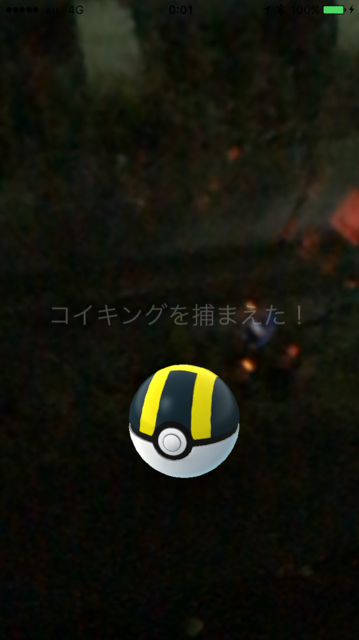 IMG_7876.PNG