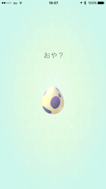IMG_7897.PNG