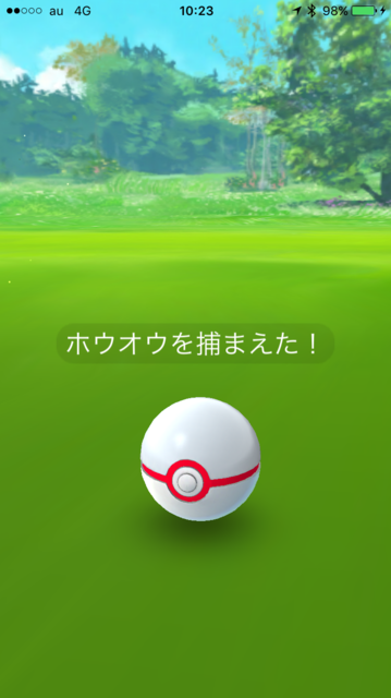 IMG_7989.PNG