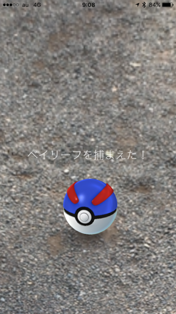 IMG_8074.PNG