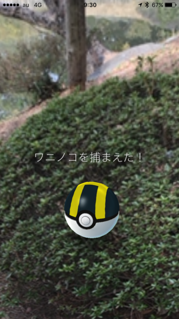 IMG_8086.PNG