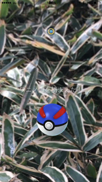 IMG_8129.PNG