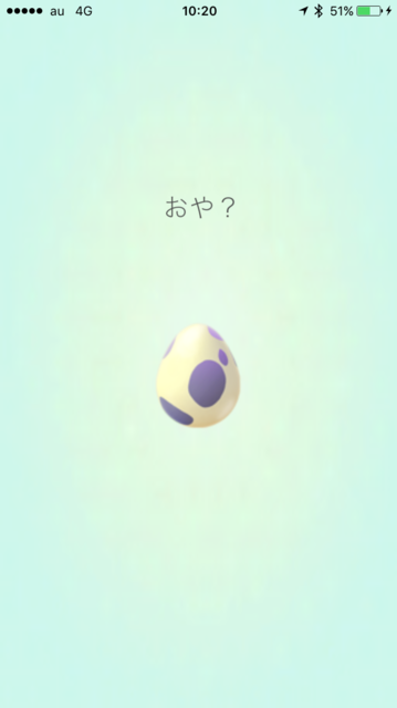 IMG_8152.PNG
