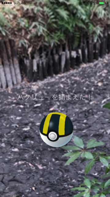 IMG_8208.PNG