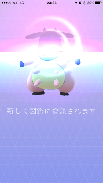 IMG_8421.PNG