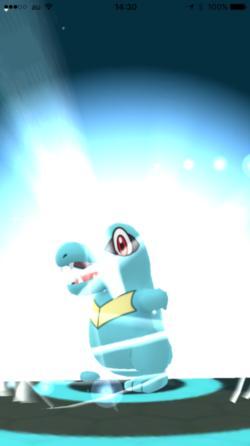 IMG_8440.PNG