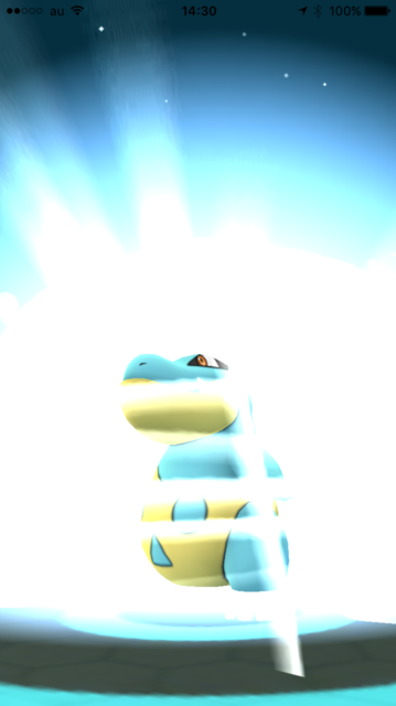 IMG_8444.PNG
