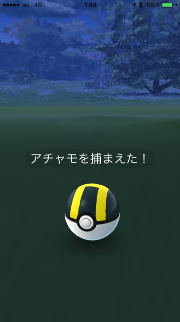 IMG_8470.PNG