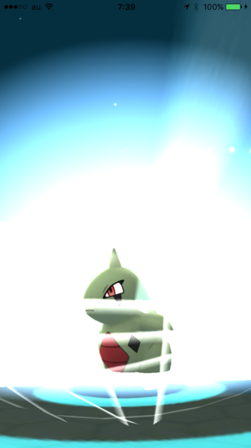 IMG_8581.PNG