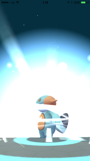 IMG_8772.PNG