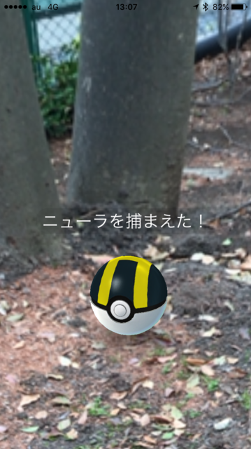 IMG_9069.PNG